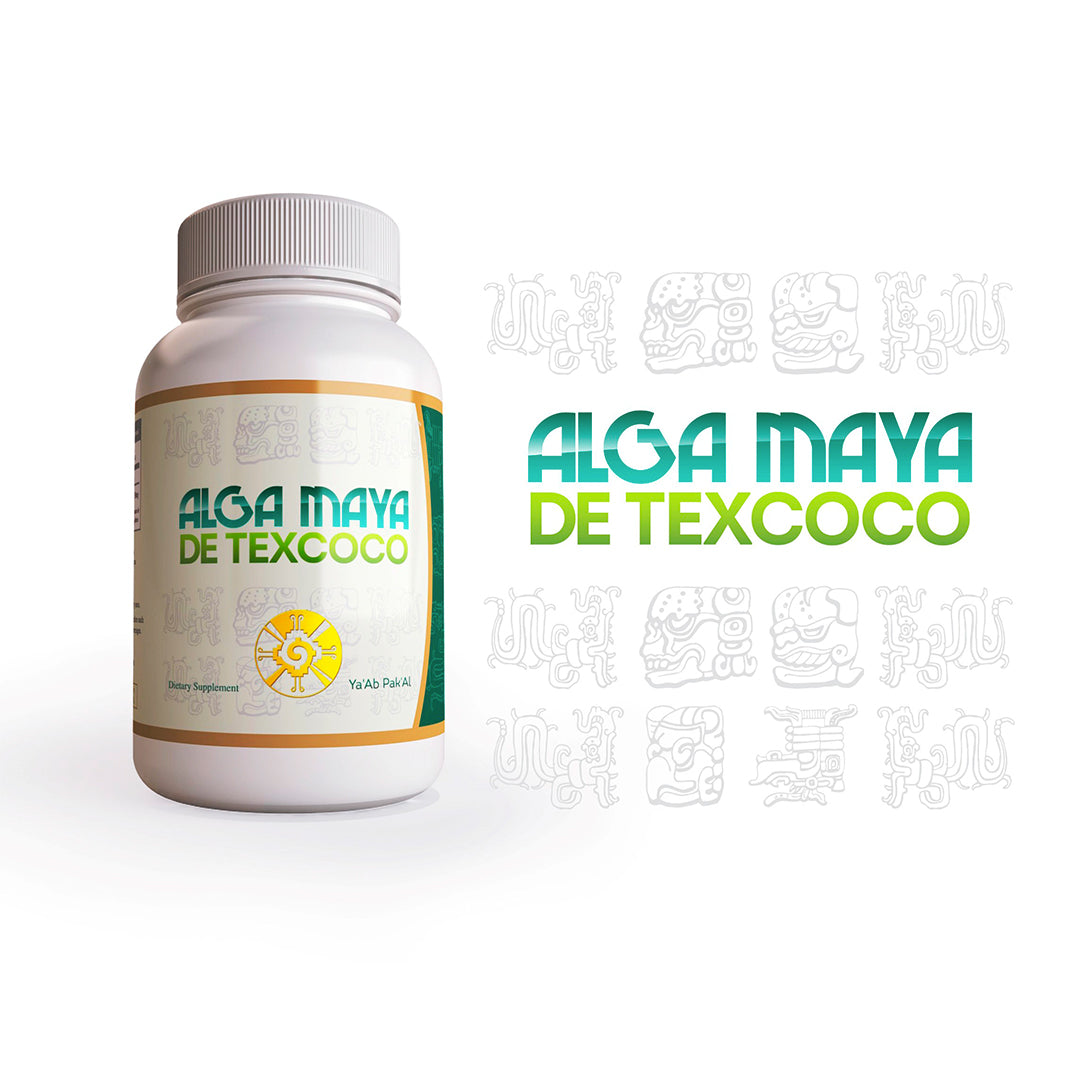 Alga Maya de Texcoco